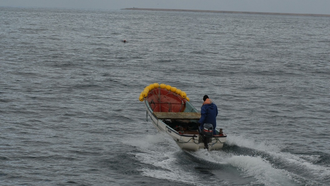    © Andrey Shapran/Globallookpress