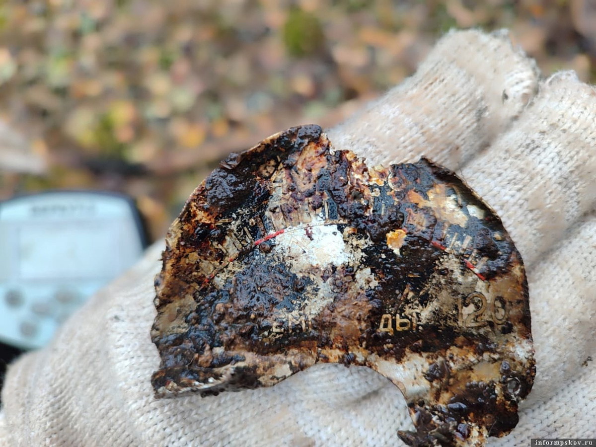 Новые обломки советского самолета нашли поисковики в Пыталовском районе. Фото: газета «Наша жизнь»