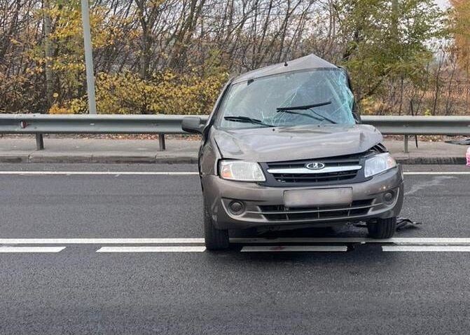    Фото: региональное УМВД