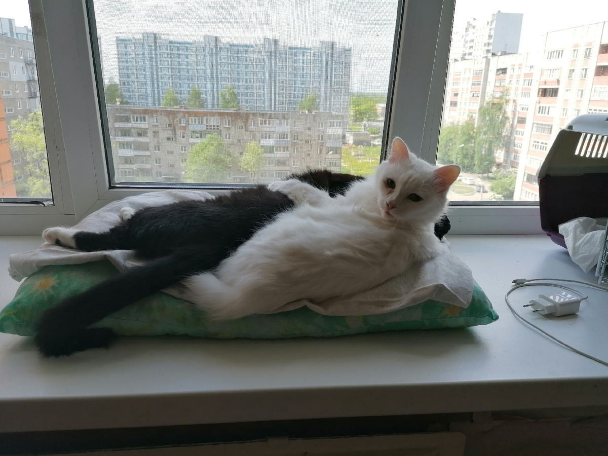 Здесь Тима с Моней до того, как Мотя заболела.