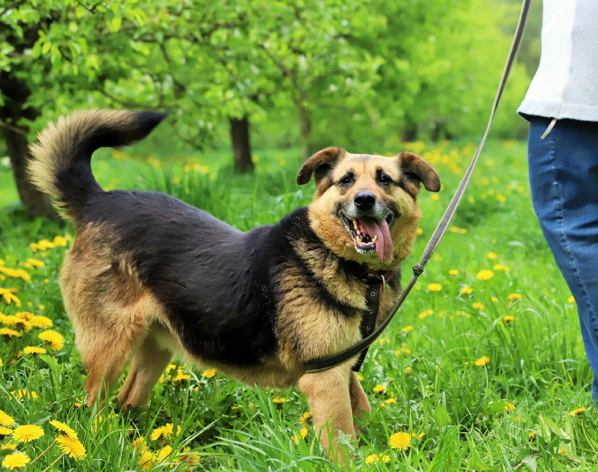 Такой была Амелия