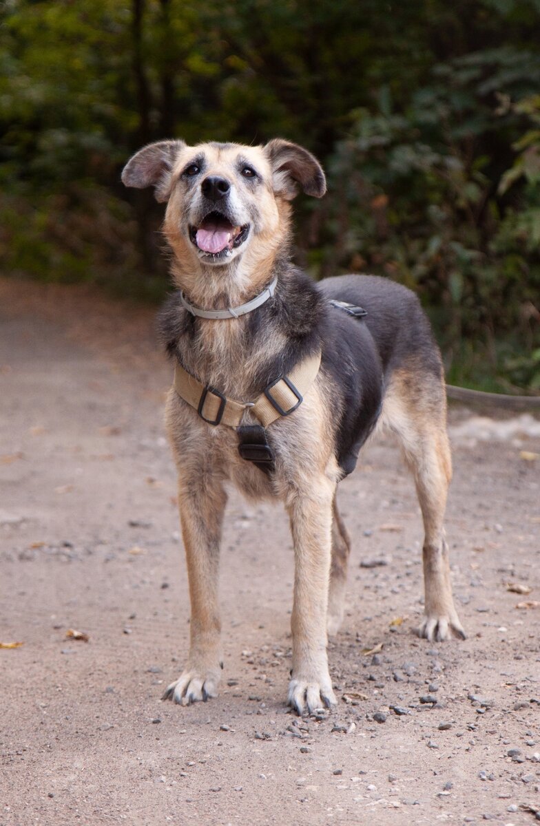 Такой стала Амелия