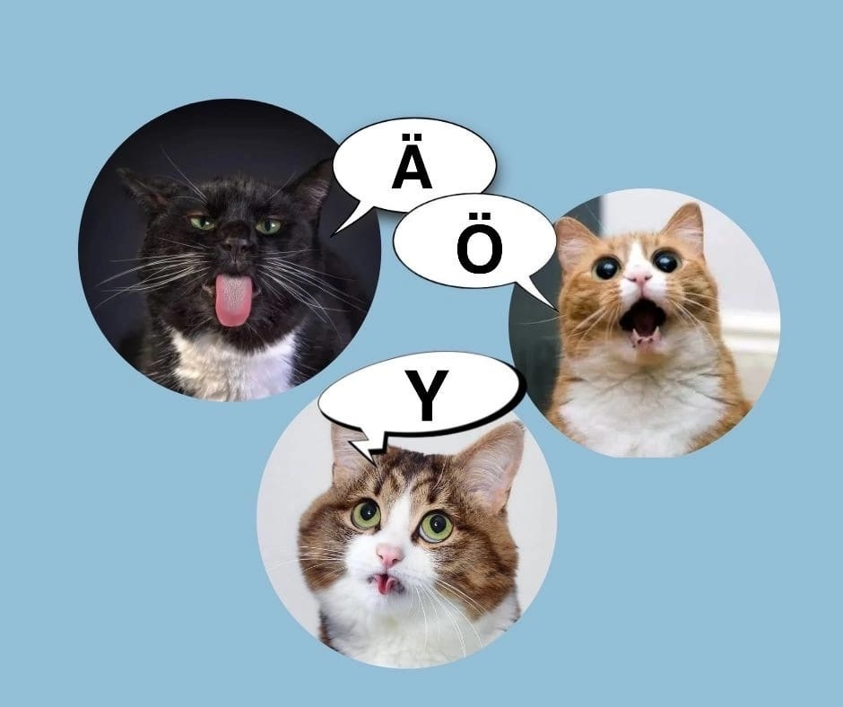 Примерно так будет выглядеть ваша тренировка по произнесению гласных Ä, Ö, Y