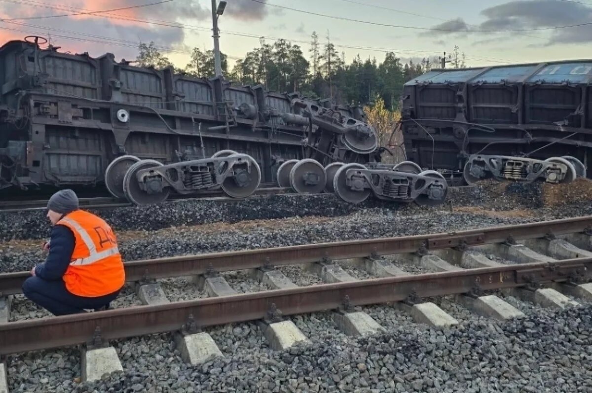    Два вагона с углём сошли с рельсов на станции Лужская в Ленобласти