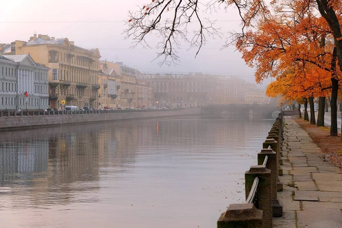 Фото из сети Интернет.