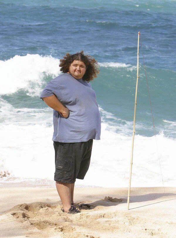 Остаться в живых (сериал 2004 – 2010)