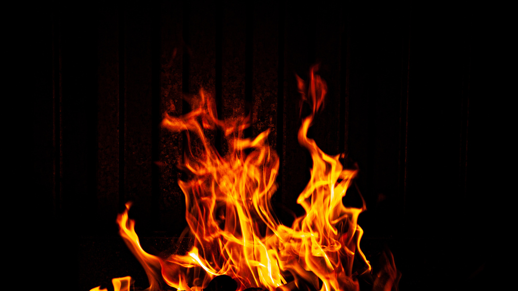    Svetlana Vozmilova/Globallookpress