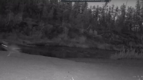    Фото: Заповедник «Тунгусский»