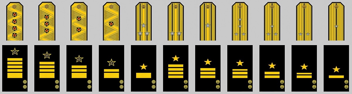 На рисунке - Корабельная служба: Адмирал флота; Адмирал; Вице-Адмирал; Контр-Адмирал; Капитан 1-го ранга; Капитан 2-го ранга; Капитан 3-го ранга; Капитан-Лейтенант; Старший Лейтенант; Лейтенант; Младший Лейтенант.
