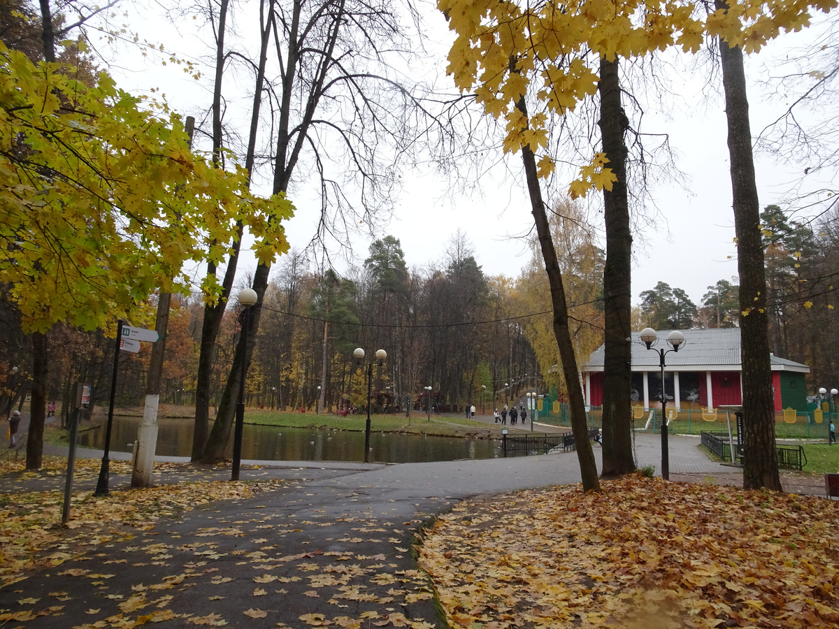 Пруды и Зелёный театр в центре парка