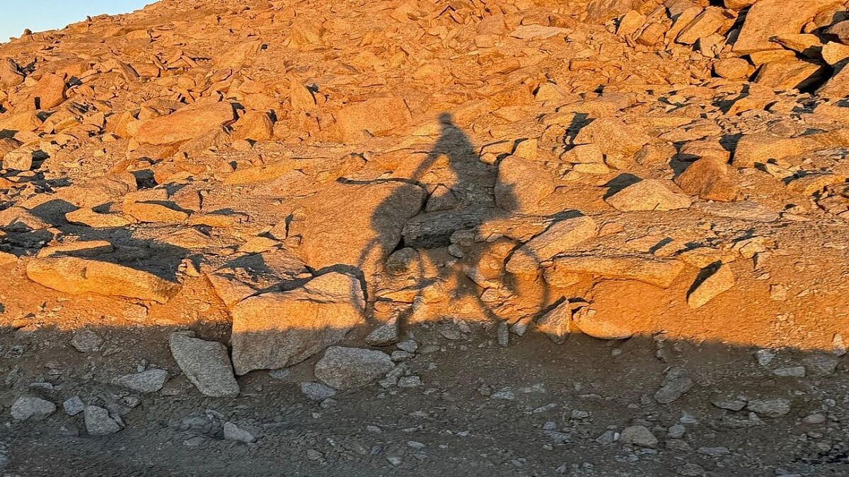    Фото: Социальные сети Shupaltse Vasya