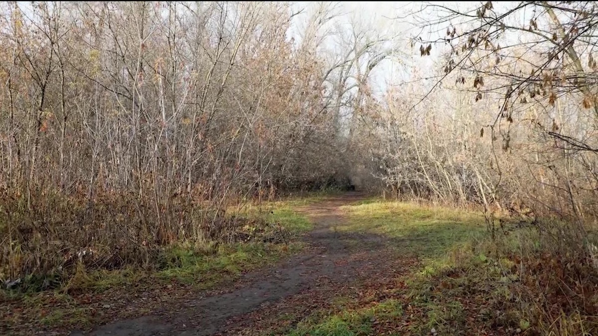    Мэр Уфы Ратмир Мавлиев сообщил о новой велопешеходной дорожке