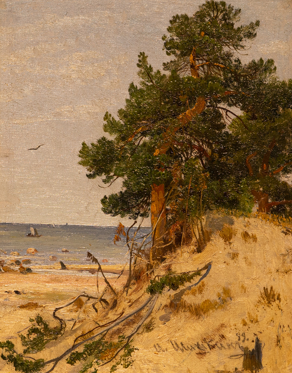 Иван Иванович Шишкин (1832–1898) Сосны на берегу залива. 1889
Картон, масло
Музей «Новый Иерусалим»
