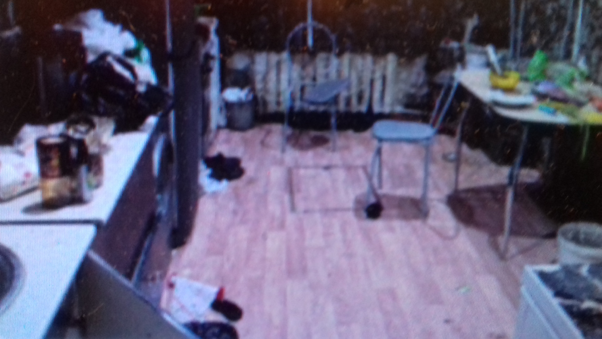 фото из интернета.