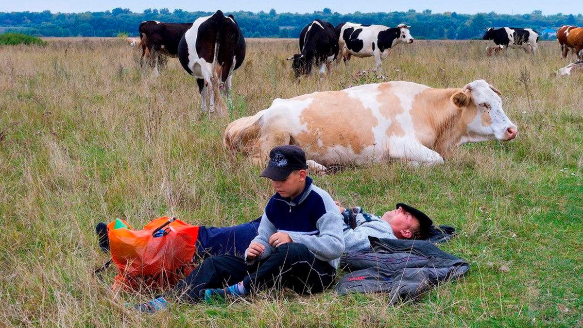 Фото с просторов интернета