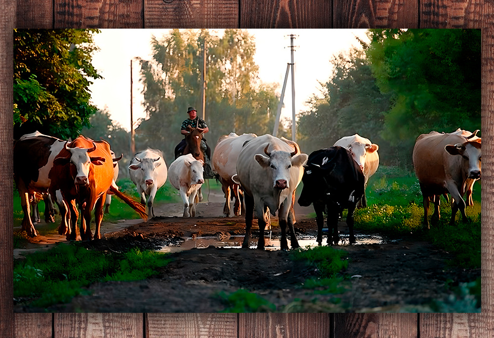 Фото с просторов интернета