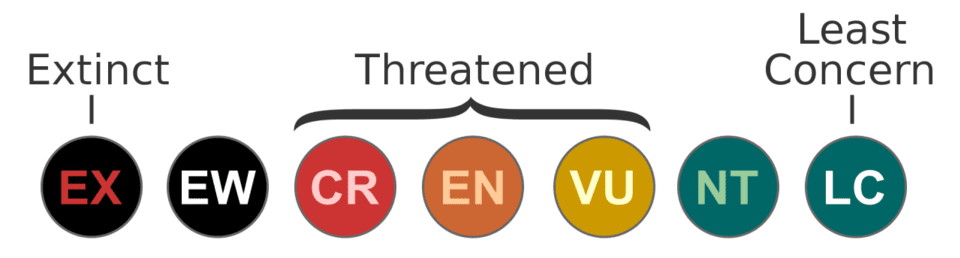   Peter Halasz / Wikimedia Commons / CC BY 2.5 DEED