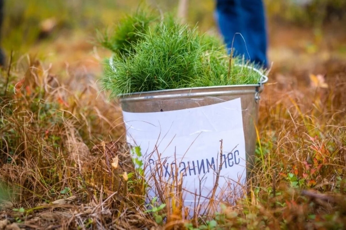   Три дня учёные-экологи обсуждали вопросы, связанные с экологической безопасностью.