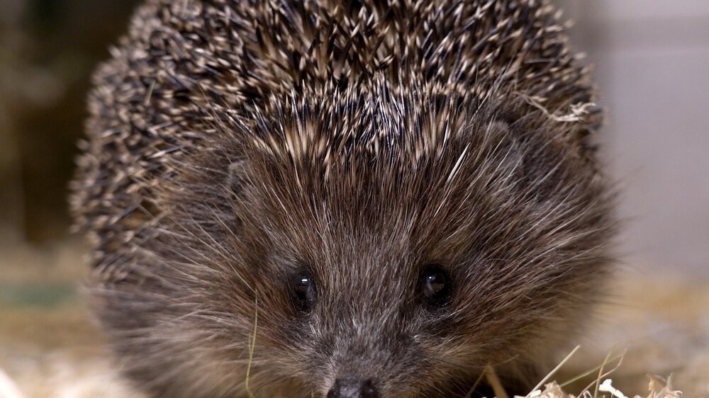 Фото АГН «Москва»