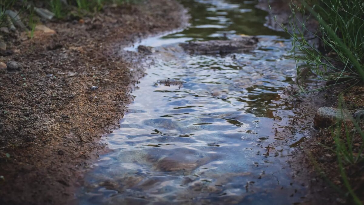     Источник: 1MI