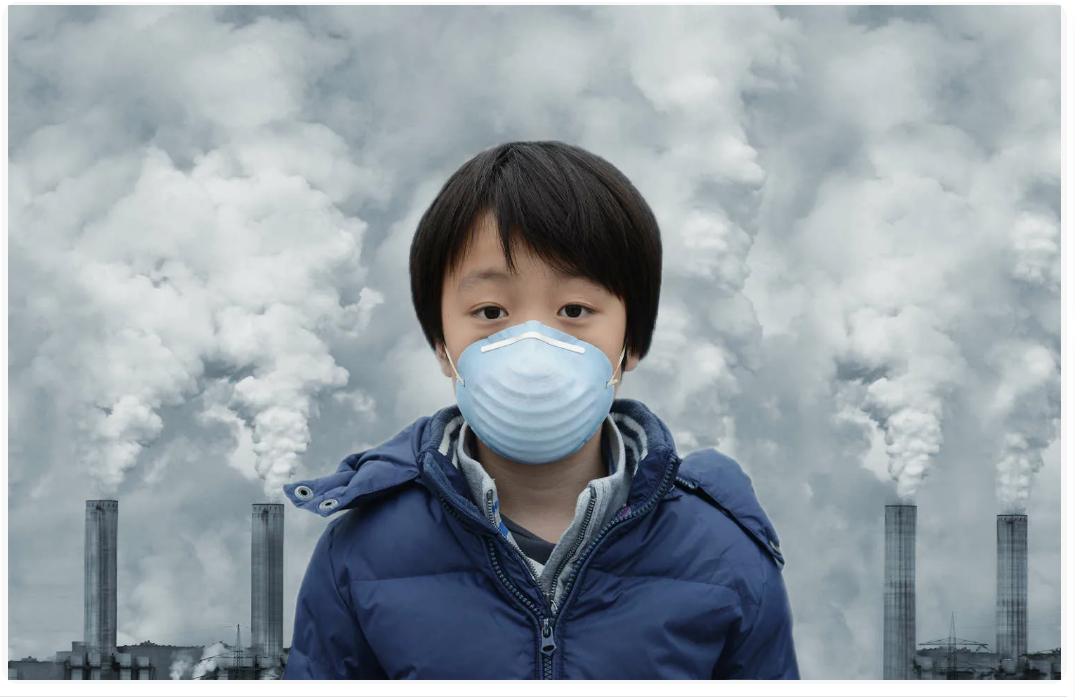 Снимок с экрана монитора.