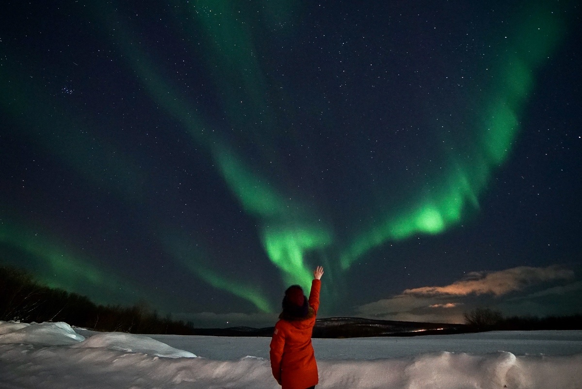Яндекс. Картинки