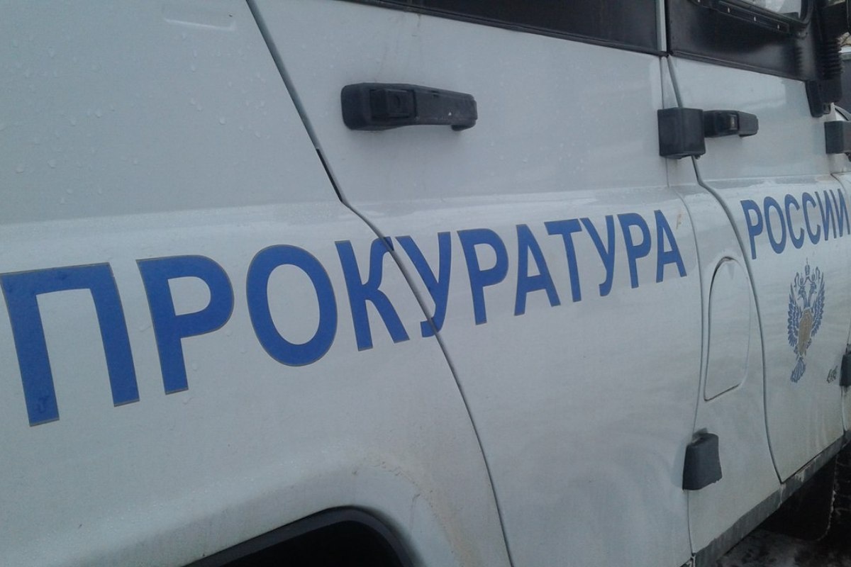    Фото: Илья Прохоров