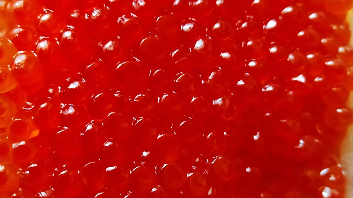 Фото: transsibinfo.com. красная икра