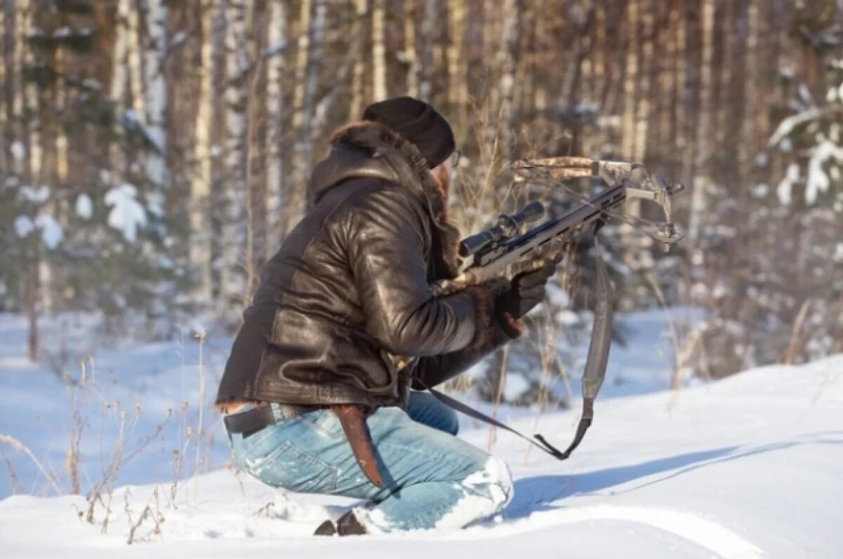    В Красноярском крае поймали 545 браконьеров с начала 2024 года