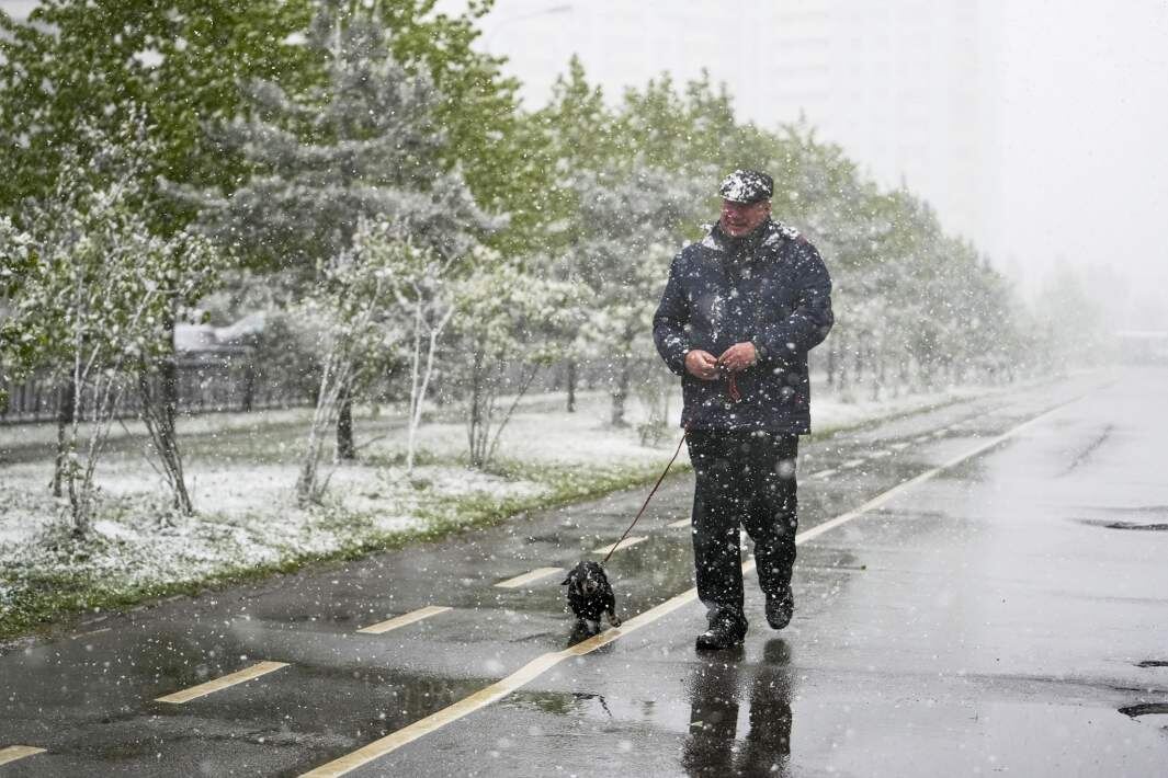 Фото: ИЗВЕСТИЯ/Дмитрий Коротаев 