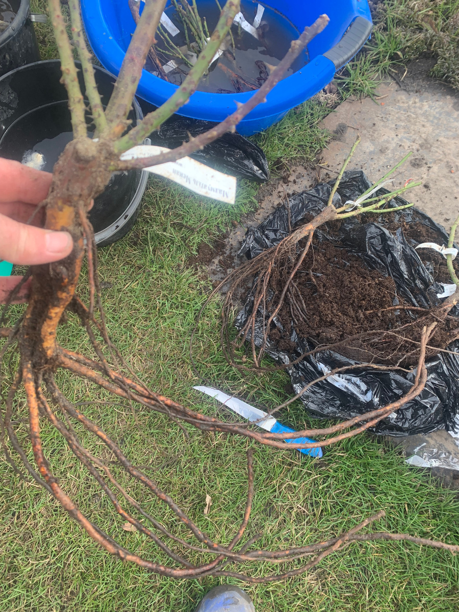  все фото автора.