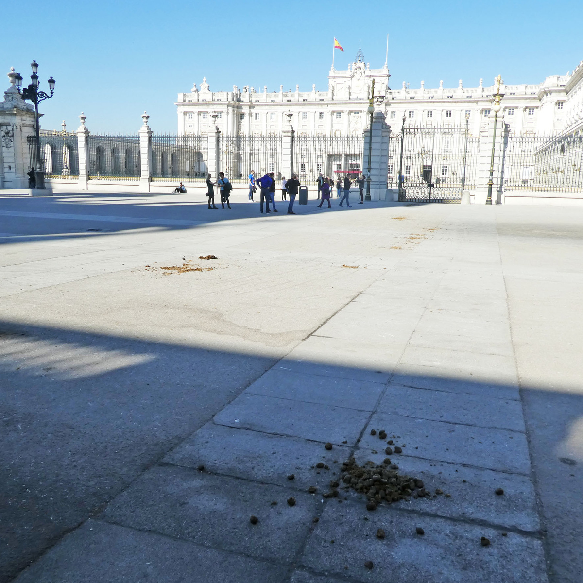 Мадрид, Испания. Пришлось сфотографировать, иначе кто же поверит? Это же Европа! Там чисто по определению.