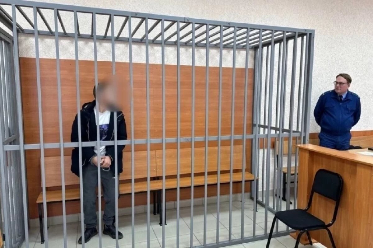    Девятиклассника, который напал на женщину под Омском, отправили под стражу