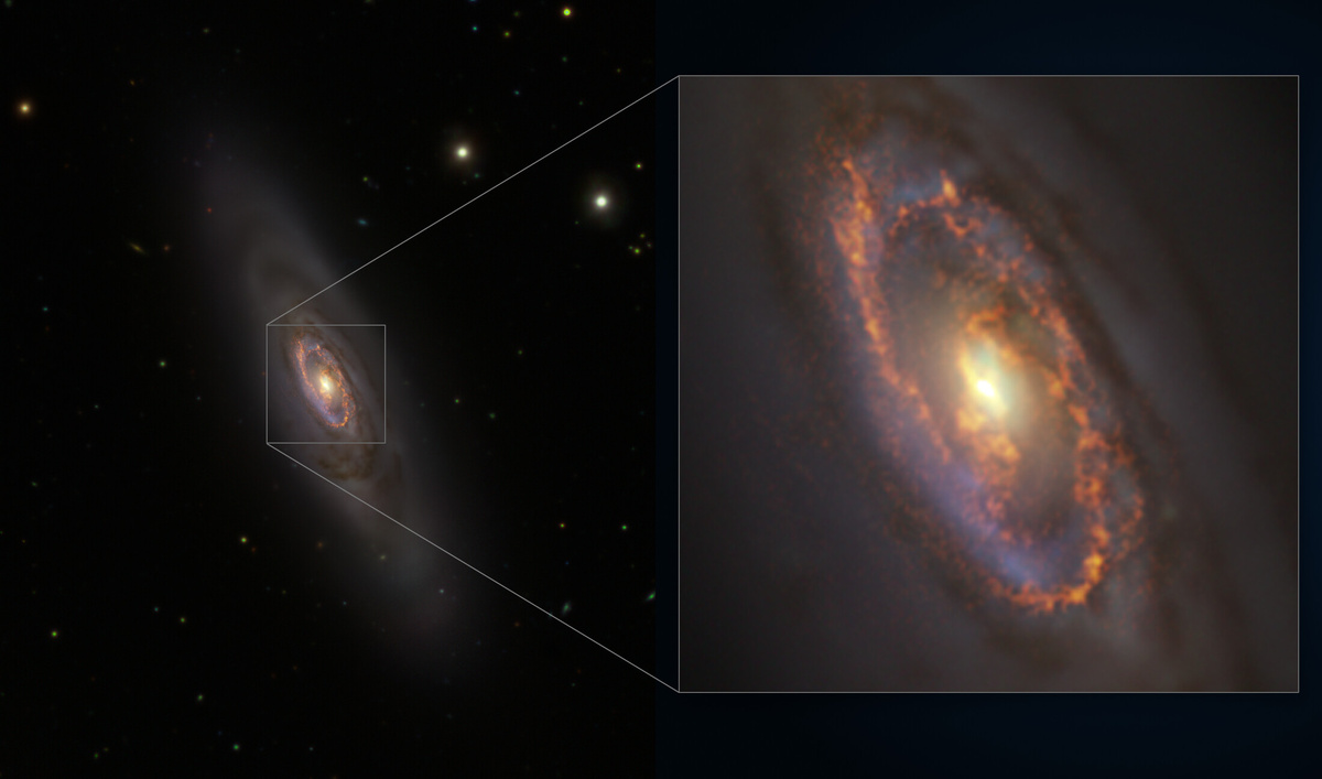 Источник: ESO/ALMA (ESO/NAOJ/NRAO)/A. Prieto et al./Fornax Deep Survey