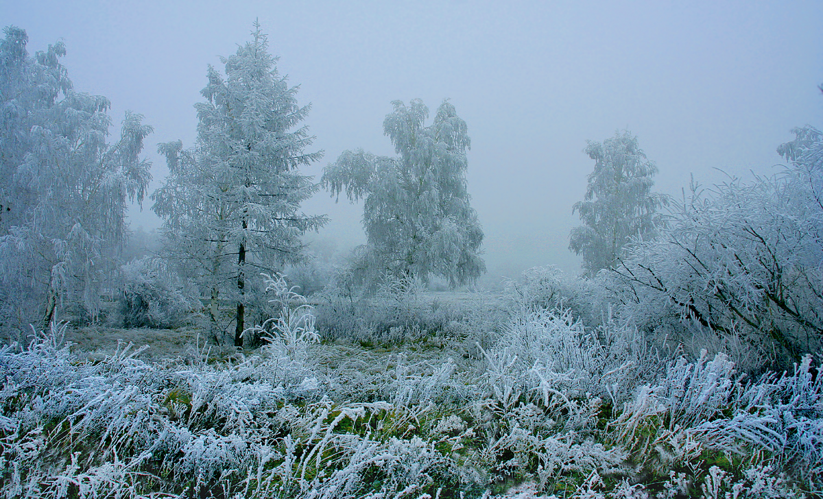 Фотография, стихотворение Василия Глуцкого