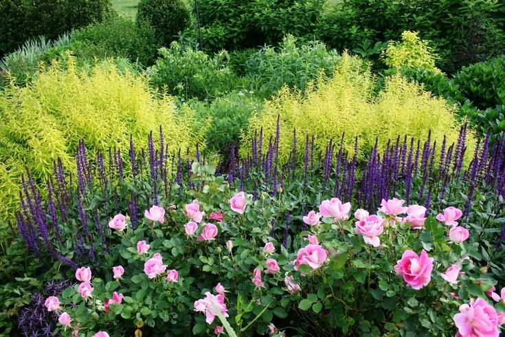 фото из свободного доступа