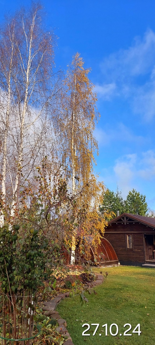 Солнечное утро в воскресенье