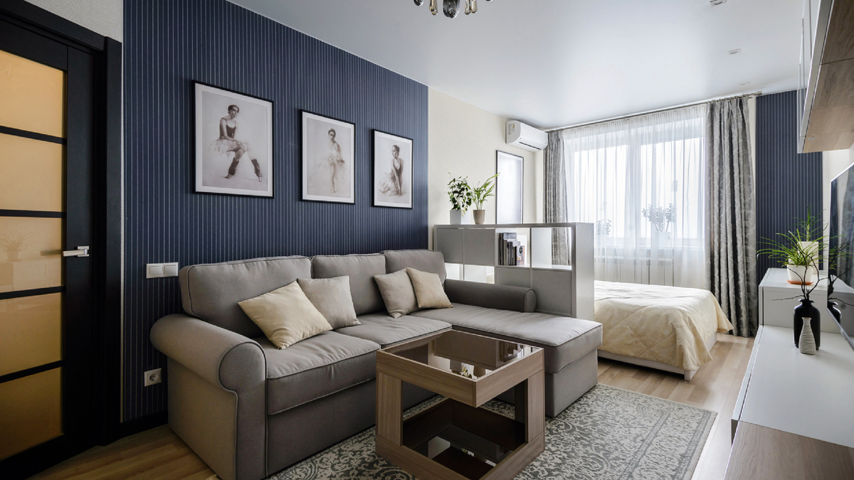 Однокомнатная квартира, как принято считать «в верхах» – это минимально возможное пространство для комфортной жизни.