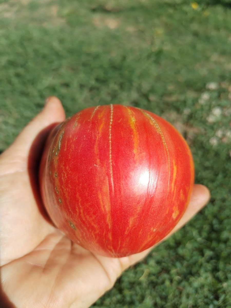 Дедушкино сердце