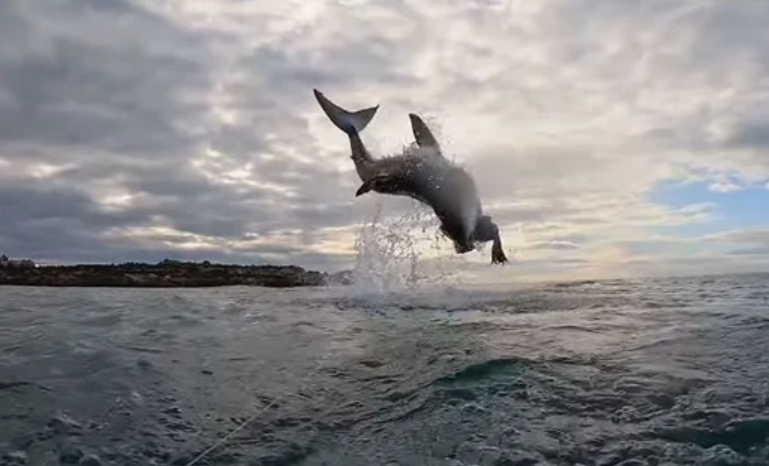я в 5 лет, когда увидел лужу глубиной 1 сантиметр