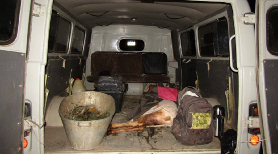    Фото: ГУ МВД