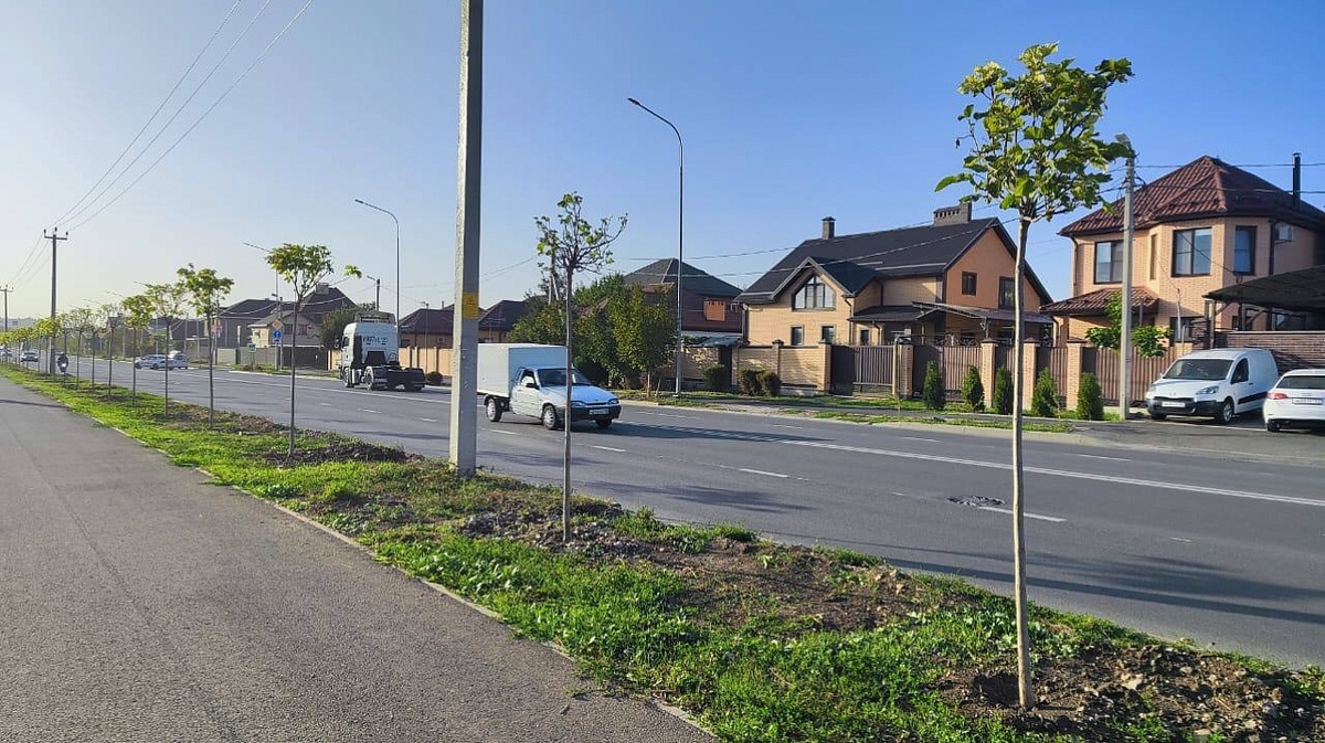     Фото: t.me/emnaumov