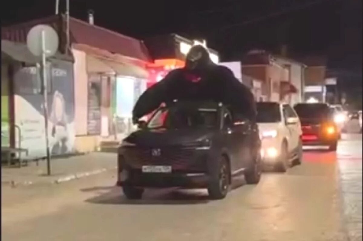    Реклама антикафе с покатушками с Кинг Конгом попала на видео в Камышине