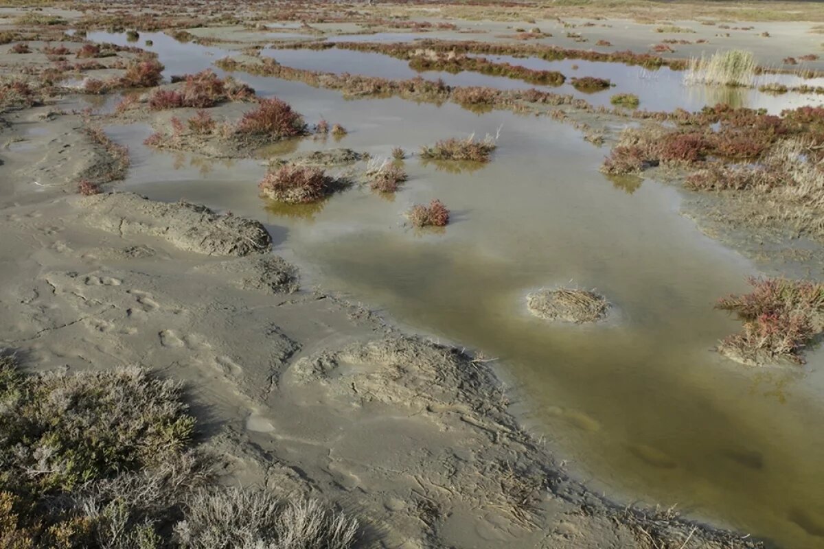    Волгоградцев и гостей города снова позвали в тур на Эльтон на электричке