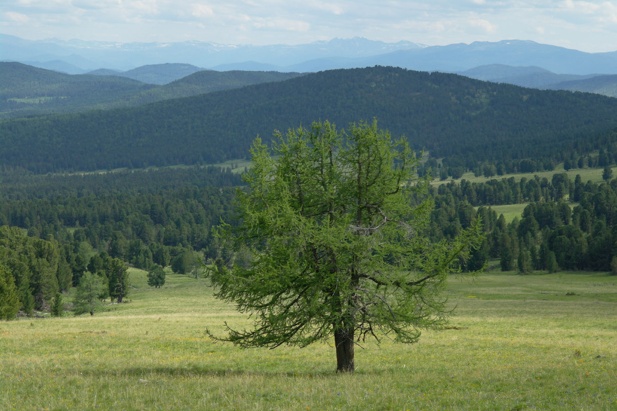 Фото: Виктор Крутов