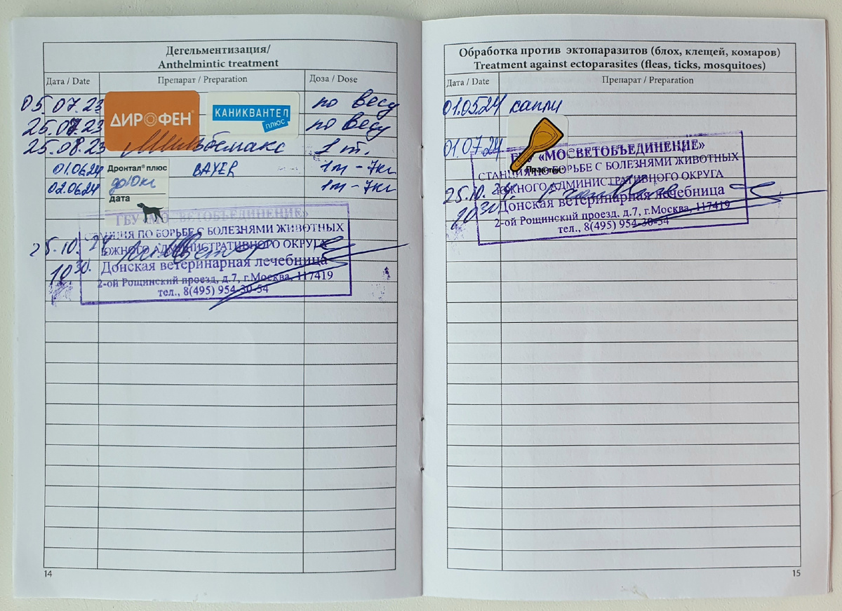 Фото автора