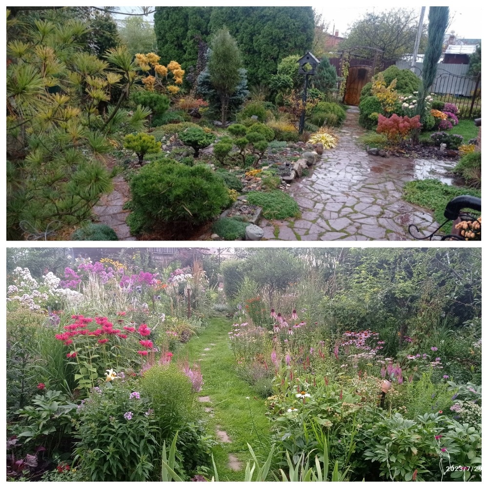 коллаж автора