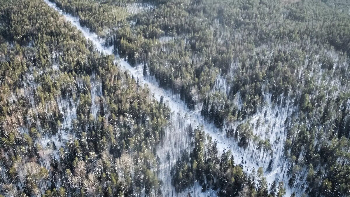     Источник: 1MI