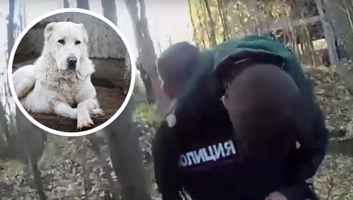 Кадр спасения ребенка: Пресс-служба ГУ МВД по Петербургу и Ленобласти