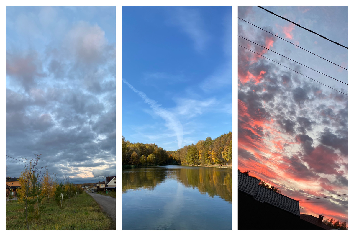 Небо октября, зубы и листья, цветы и цвета - листайте 